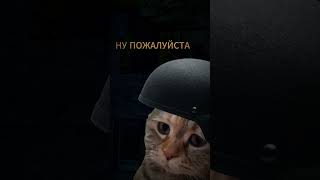 трагедия копыча stayout stalkeronline eu1 sogame springso stalker somemes INFEKT so [upl. by Tracay]