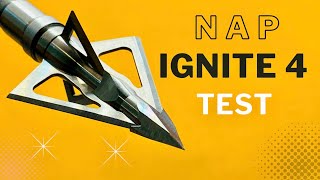 NAP IGNITE 4 Broadhead Test [upl. by Oakman84]