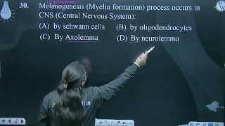 Melanogenesis Myelin formation process occurs in CNS Central Nervous System [upl. by Vladi]