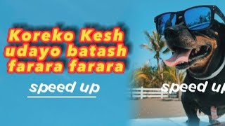 koreko Kesha udayo batas farara farara Devendra bablu  speed up song [upl. by Hibben]