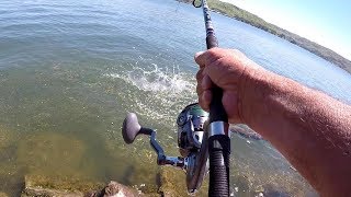 How To Catch HUGE Catfish From The Bank [upl. by Corin]