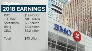 Business Report Big earnings for the big banks [upl. by Charry]