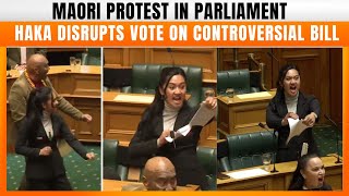 New Zealand MPs stage haka protest against Indigenous treaty bill in parliament  News9 [upl. by Semela]