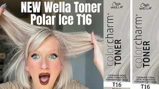 NEW Wella Toner T16 Polar Ice [upl. by Mima]