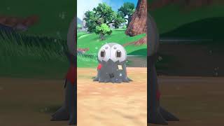 🌟Shiny Scatterbug Evolved Into Shiny Spewpa🌟 Pokémon Violet [upl. by Anirpas247]