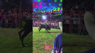 🥇 Primer Lugar 🥇 Torneo de los 40 mil 🔥Rancho Los Mezcales🔥 jaripeoranchero torosdereparo jaripeo [upl. by Ruff]