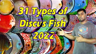 31 Types of Discus Fish 2022  Famous Discus Fish Variety in the World [upl. by Ellita]