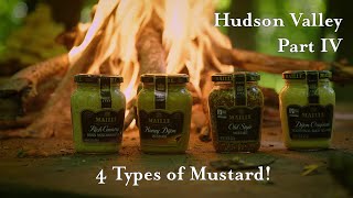 Mustard Expert describes 4 Different Types of Mustard from Maille [upl. by Bork]