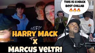 I Need A Album From H MACK amp VELTRI quotHarry MACK x Marcus Veltri quot Omegle Bars 32 REACTION [upl. by Wakerly781]