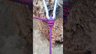 Knot For ring ringknot tieknot ropeknots shorysyoutube [upl. by Divod]