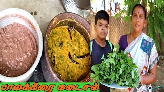 சுவையான பாலக்கீரை கடைசல் மற்றும் களி  Villagefamily Kitchen [upl. by Zadoc30]