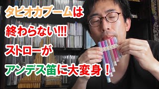 【後半】タピオカストローでアンデス最古の笛「サンポーニャ」を、100円ショップのものだけで簡単にお安く工作！ [upl. by Lifton]