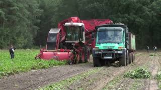 CLAAS XERIONHOLMER BIETENROOIER YOUNGTIMER FELDTAG NORDHORN 14092024 [upl. by Yahsed811]