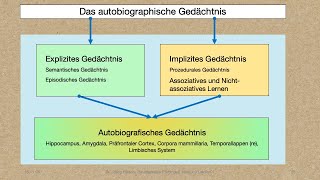 Modul 6 Lektion 14 Gedächtnis und Trauma [upl. by Stella74]