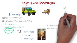 Cognitive appraisal Transactional model of stress [upl. by Enawyd]