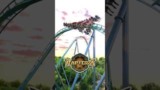 Kings Dominions NEW Roller Coaster 😱🎢 Rapterra Shorts [upl. by Ress868]