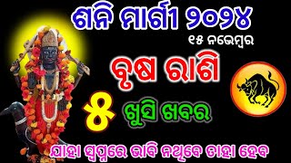 ବୃଷ ରାଶି ଶନି ମାର୍ଗୀ brusha Rashi November 2024 Rashifala  brusha rashi shani Margi 2024 [upl. by Checani]