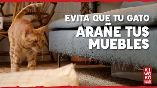 Cómo evitar que tus GATOS ARAÑEN LOS MUEBLES 😺【Consejos ✅】 [upl. by Hanafee]