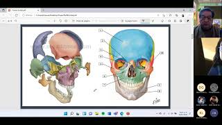 CLASE 1 HUESO FRONTAL [upl. by Adnolat603]