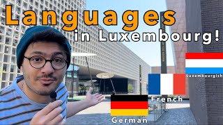 Luxembourg is a Multilingual European Country with Three Official Spoken Languages [upl. by Eladnyl]