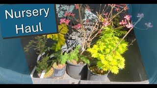 BC Bonsai Nursery Tour Haul [upl. by Ayekahs]