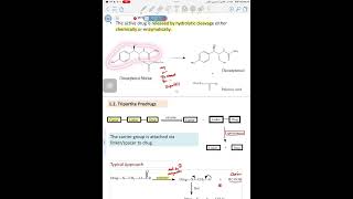 Organic chemistry Lec 2 part 2  Prodrug of functional groups [upl. by Ibor841]