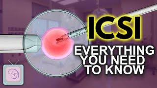 IVF ICSI Procedure  Important things you need to know [upl. by Boorman689]