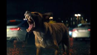 Scene from quotJohn Wick 4quot 2023 starring dog actor Lana5 [upl. by Milinda873]