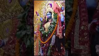 mayank ka Nani Ghar ka kali puja hai  viral video [upl. by Ainehs]