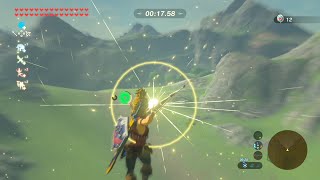 25 Targets in one Flight  Horseback Archery  The Legend of Zelda Breath of the Wild [upl. by Esnahc]