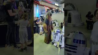 🐶🤖👸Confused Chewbacca w R2D2 Leia Skywalker Photoshooting Star Wars Convention wookie cosplay [upl. by Narcho]