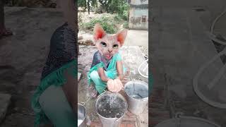 😻 dhinka 😻 chika 😻 dhinka 😺 chika 😻😻 funny 😻cute 😻 short 😻 video 😺 viral 😻😺 [upl. by Astrix76]