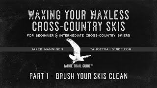 Wax Your Waxless XC Skis Part 1 Brush Your Skis Clean [upl. by Standice]