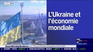 Guerre en Ukraine quel impact pour léconomie mondiale [upl. by Onaireves98]