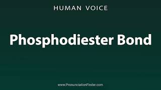 How To Pronounce Phosphodiester Bond [upl. by Atelahs]