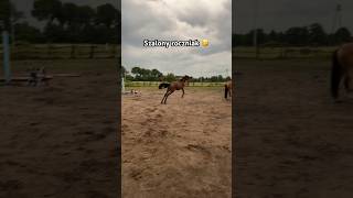 Macie jakiś pomysł na odcinek z Rosą 🩷 equestrian horserider [upl. by Nylirad]