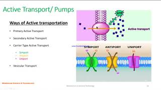 Transport Across Membrane Part 2 [upl. by Schuman]