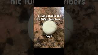 Proving cheese can hit 100 subscribe [upl. by Yanetruoc610]