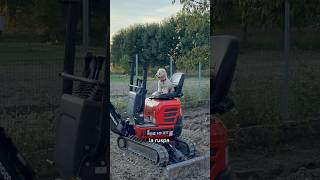 Scavi Profondi 🚜 cane divertente canedivertente funny dog [upl. by Akined]