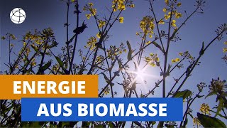 Energie aus Biomasse  total phänomenal  Planet Schule [upl. by Seugirdor428]