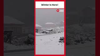 Watch Stunning Visuals of Fresh Snowfall In Bandipora JampK [upl. by Nueoht]