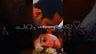 Pavizha Mazha 🤍💫 pavizhamazha athiran malayalam malayalamsongs saipallavi fahadhfaasil [upl. by Onahpets]