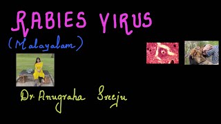 RABIES VIRUS  MALAYALAM MICROBIOLOGY FOR MEDICOS [upl. by Abisha]