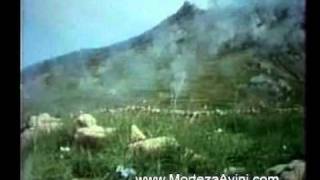 Iran amp Iraq war real footage from Iranian side [upl. by Ahsiuqat765]