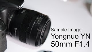 Sample  yongnuo yn 50mm f14 [upl. by Theurer644]