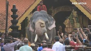 Thirunakkara Pakal Pooram 2018  Kerala Elephants [upl. by Elias722]