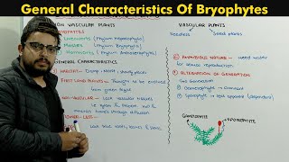 Bryophytes Plants Introduction Chapter Diversity Among Plants [upl. by Reckford]