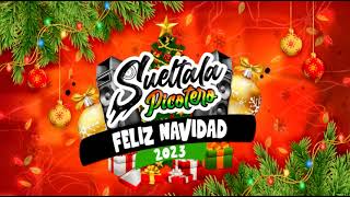 Feliz Navidad 2023  SueltalaPicotero [upl. by Ainitsirk]