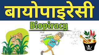 Biopiracy kya hai  बायोपायरेसी  Biopiracy in hindi class 12th biology biotechnology [upl. by Lagas217]