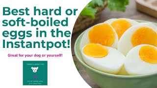 Best hard boiled or soft boiled eggs with the Instantpot for dogs and people [upl. by Jehiel785]